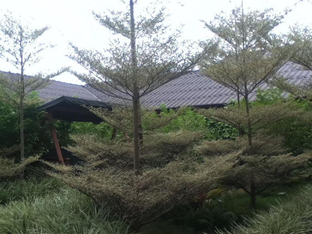 ทรี เรสซิเดนซ์ Motel เชียงใหม่ ภายนอก รูปภาพ